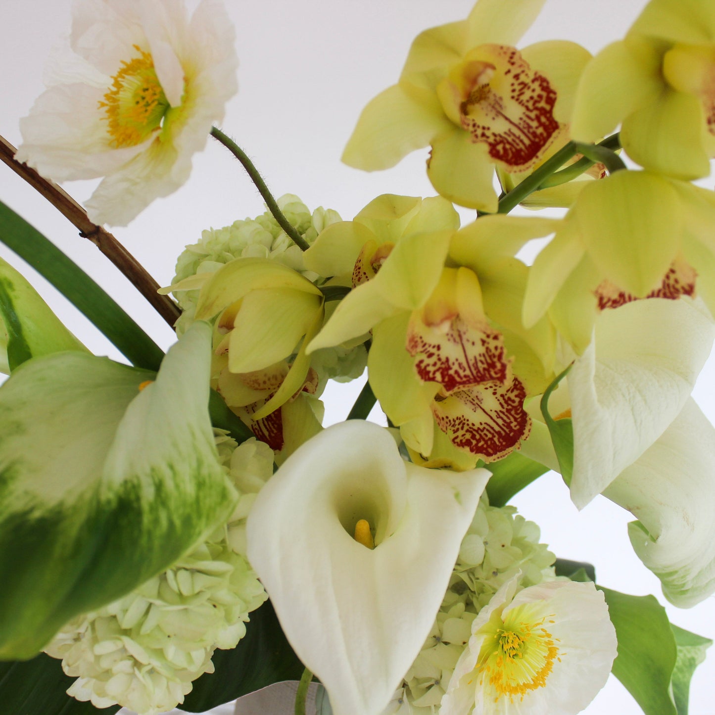 Merle bouquet