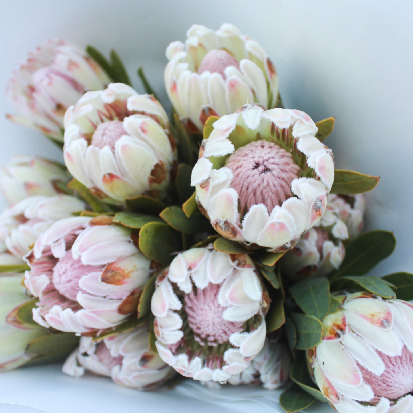 En Masse bouquet