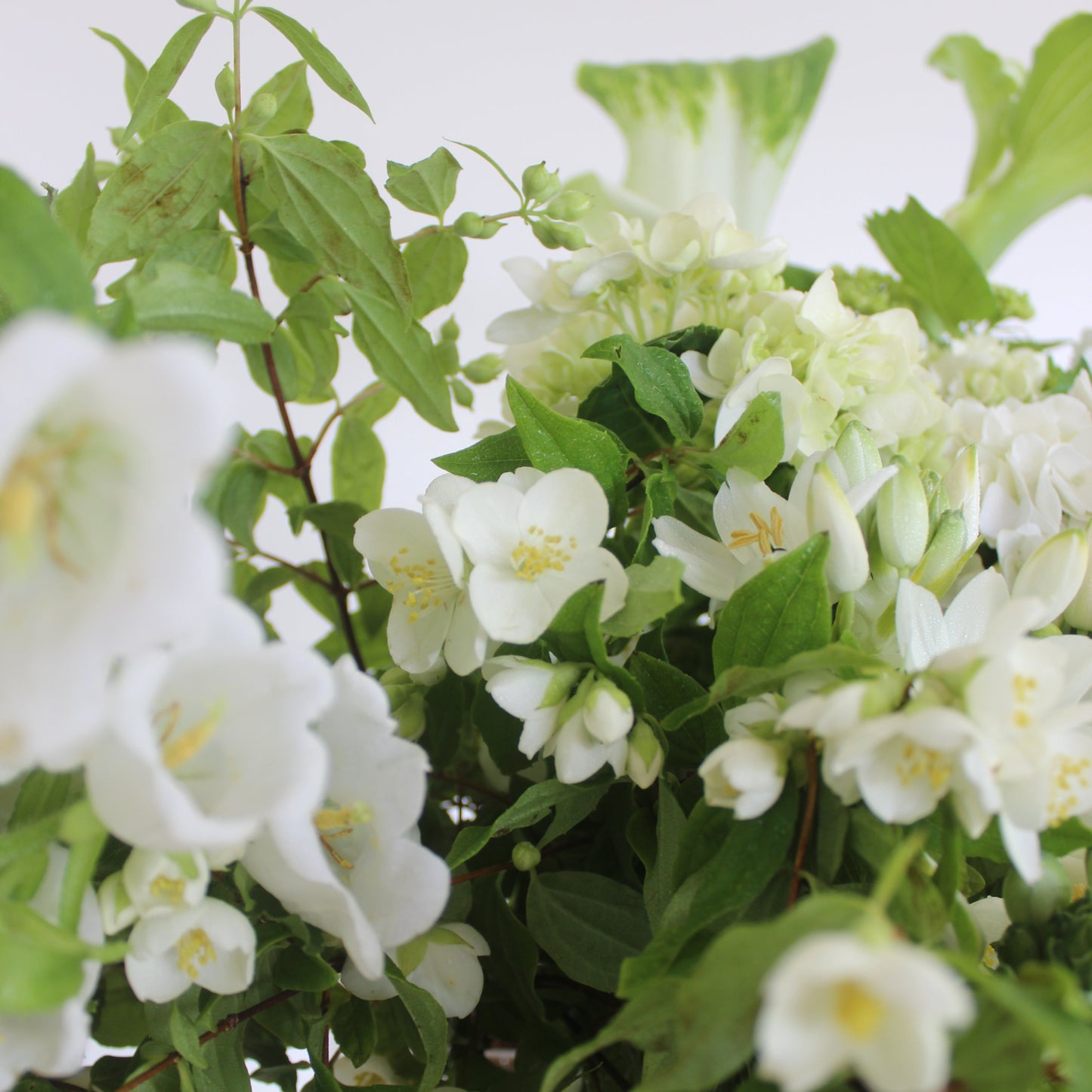 Merle bouquet