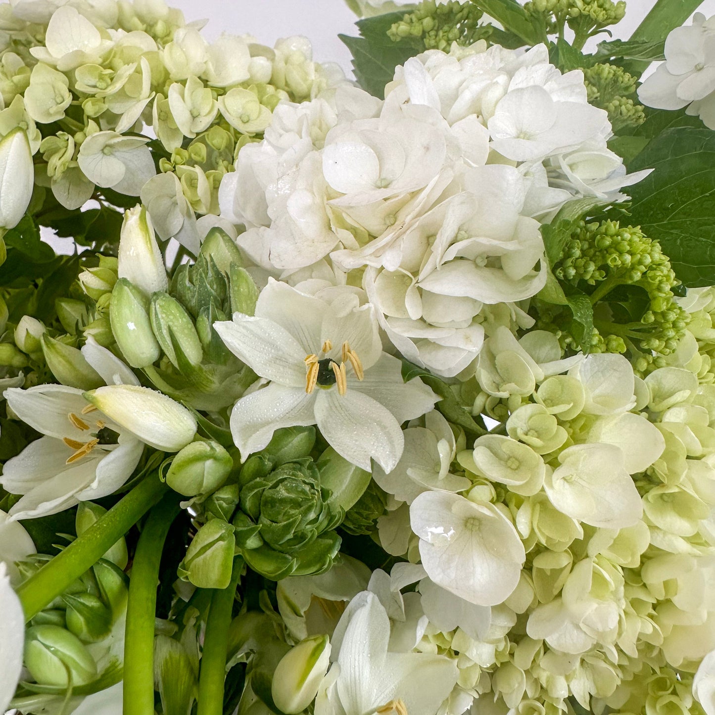 Merle bouquet