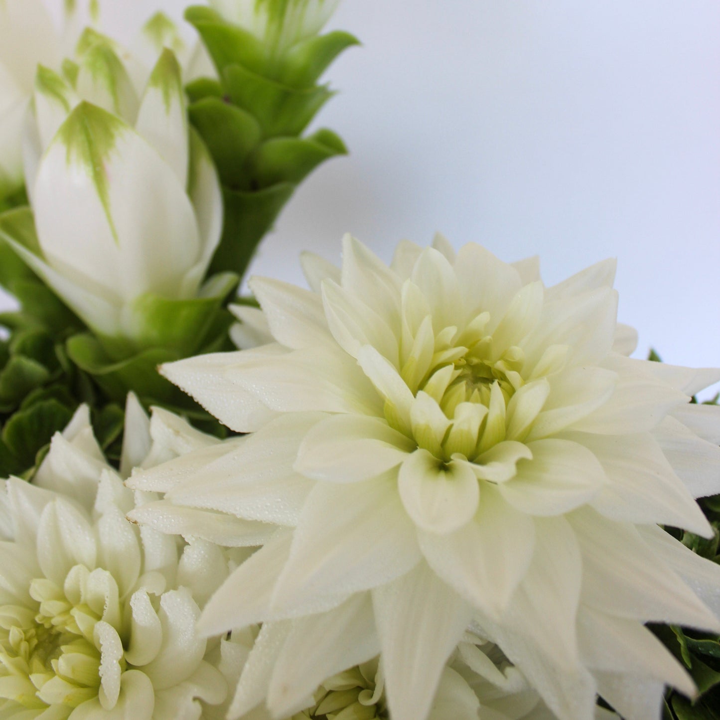 Merle bouquet