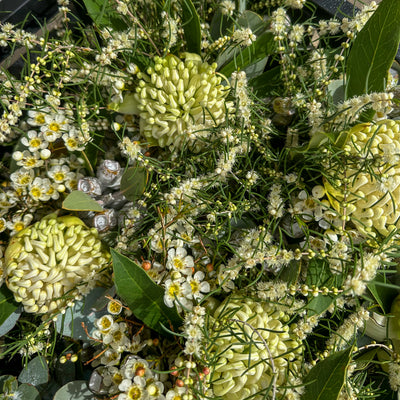 Close-up of Australian native, white and green floral vase arrangements