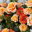Vase arrangements of orange and green flowers, foliage and fruit
