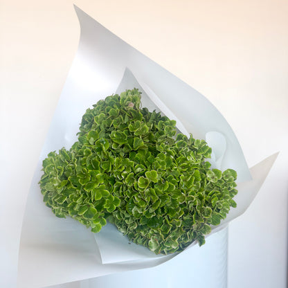 En Masse bouquet