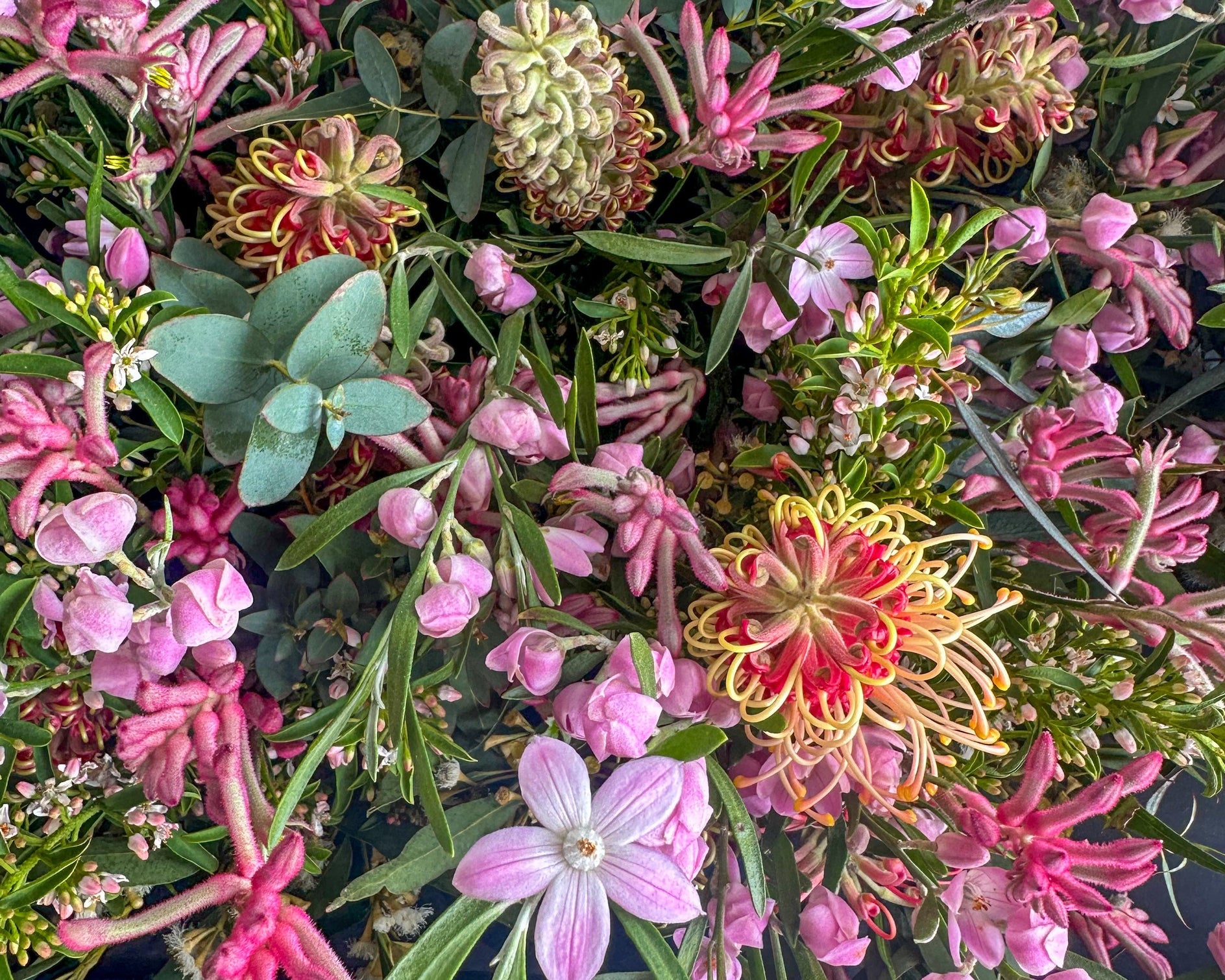 Close up of Australian native flowers styled for table centre pieces
