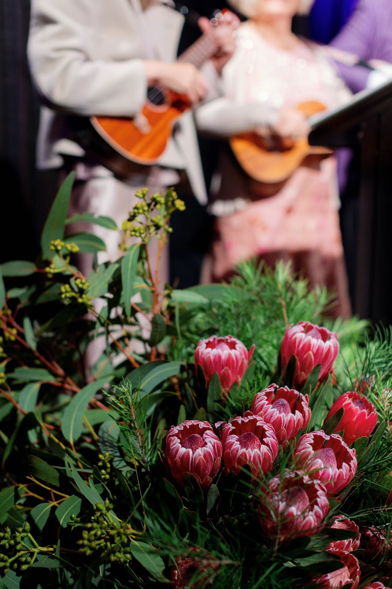 Stage arrangement of protea flowers with foliage